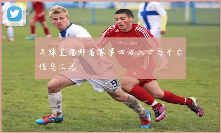 足球直播哪看赛事回放入口与平台信息汇总